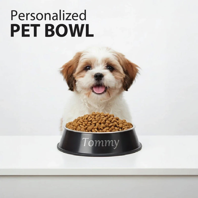 Stainless Steel Anti-Skid Dog Feeding Bowl