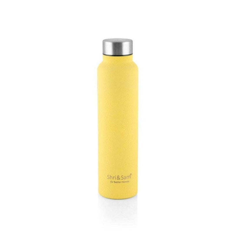 Stainless Steel Bottle 700 ML