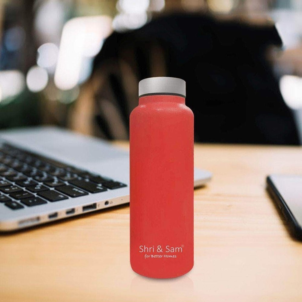 Stainless Steel Bottle 700 ML