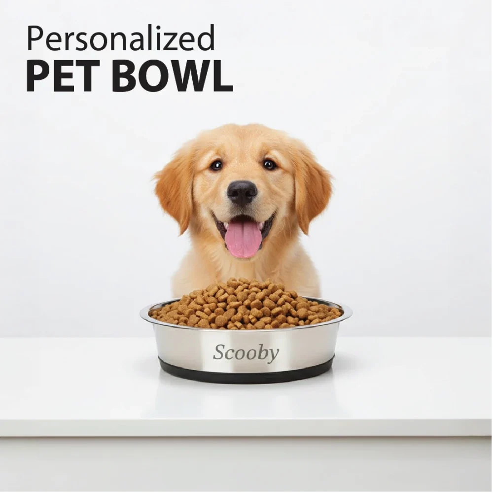 Stainless Steel Pet Bowl with Anti-Skid Base
