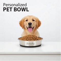 Stainless Steel Pet Bowl with Anti-Skid Base