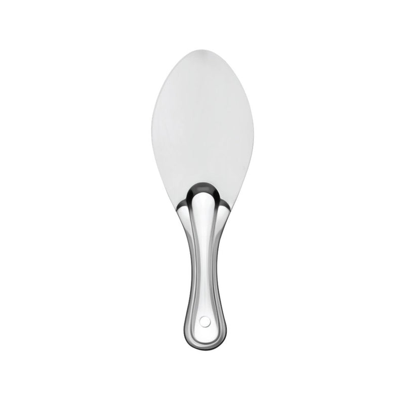 Stainless Steel Rice Spoon Essential