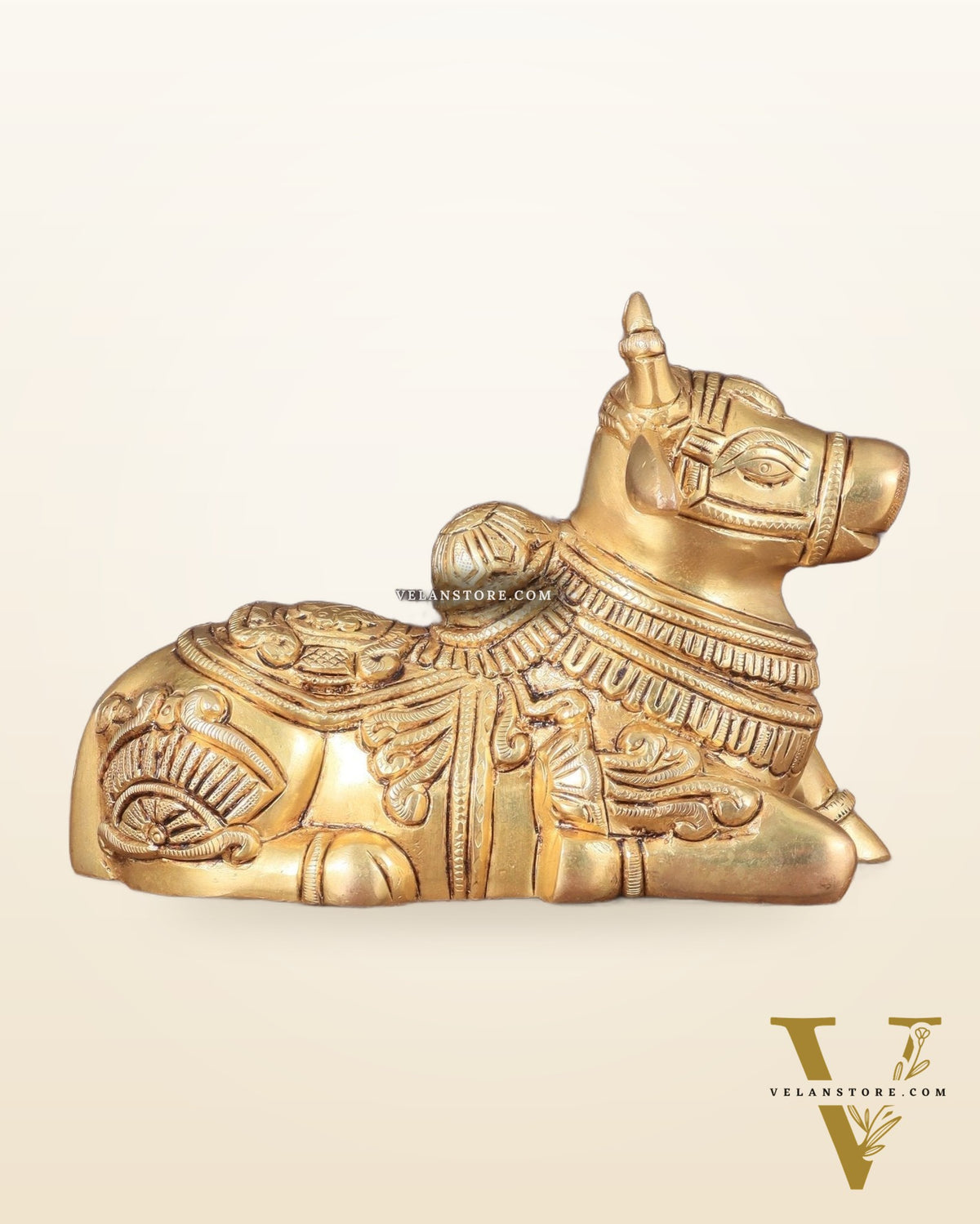 Superfine Brass Nandi engraved 8" wide
