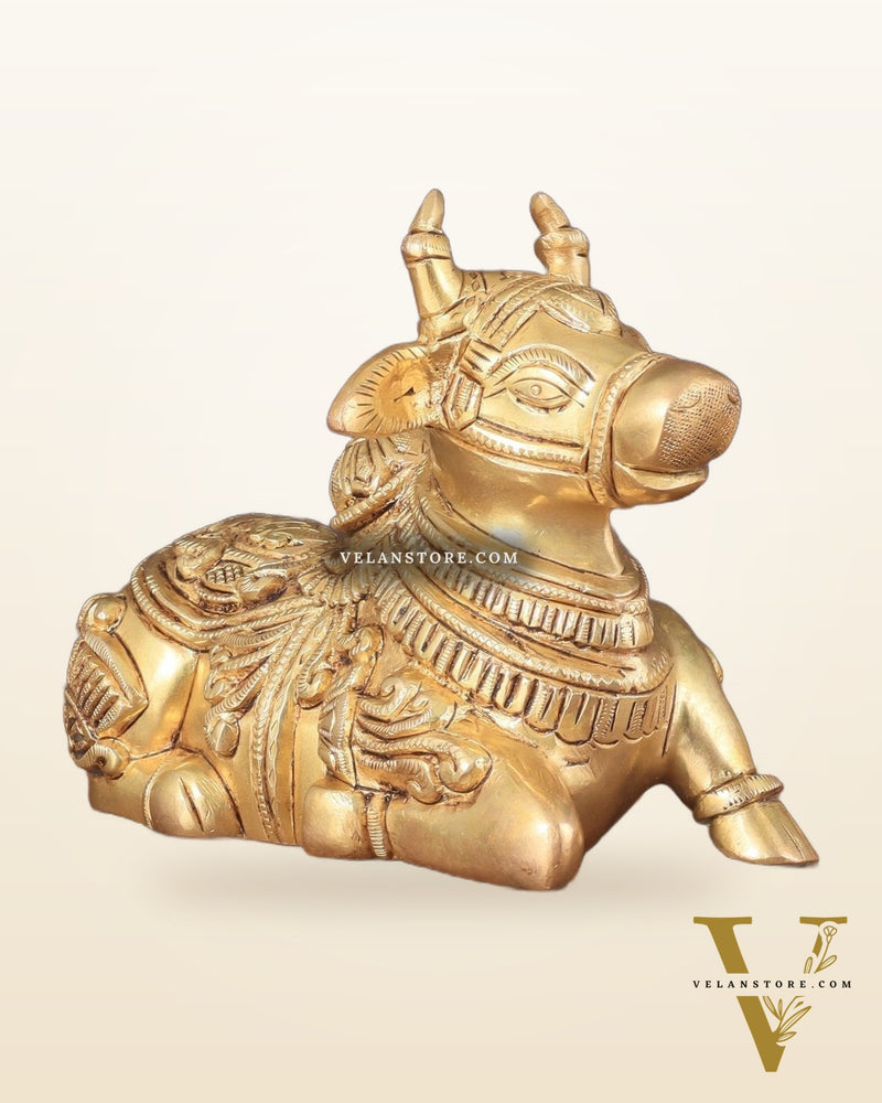 Superfine Brass Nandi engraved 8" wide