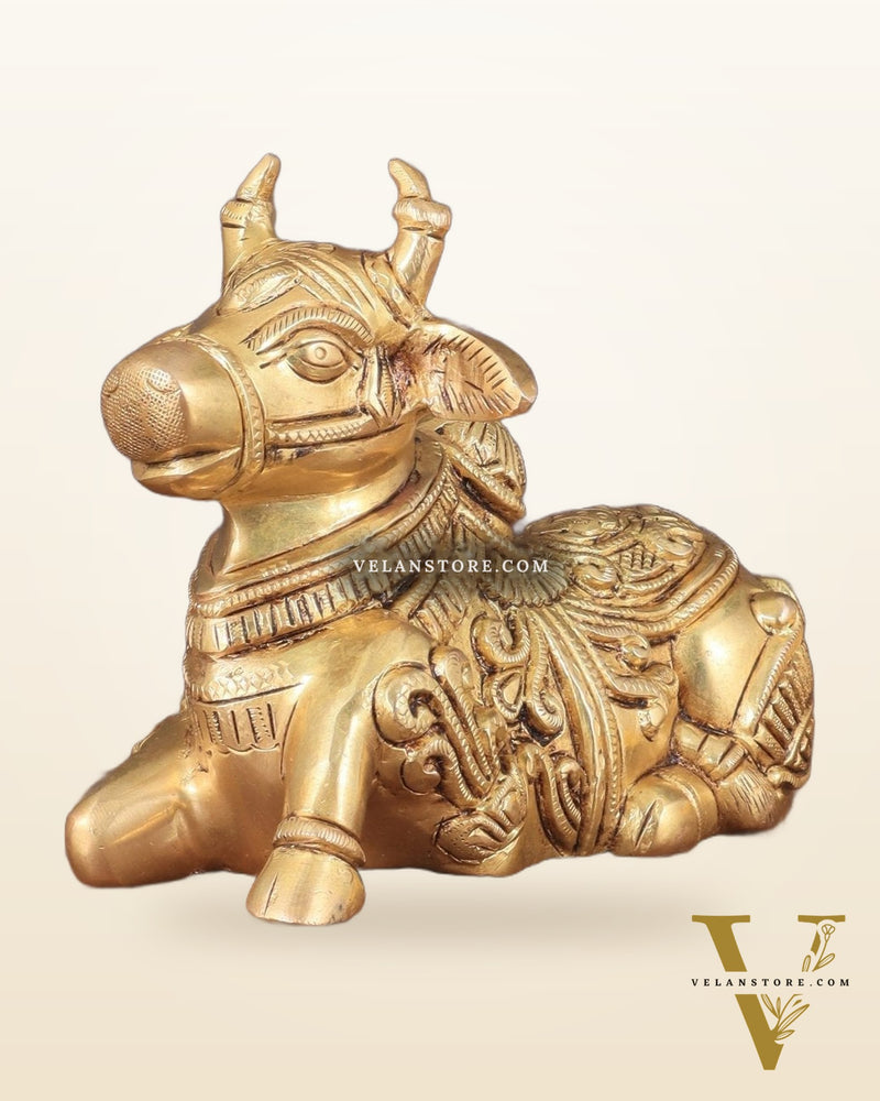 Superfine Brass Nandi engraved 8" wide