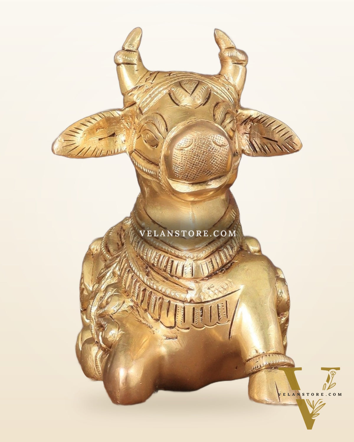 Superfine Brass Nandi engraved 8" wide