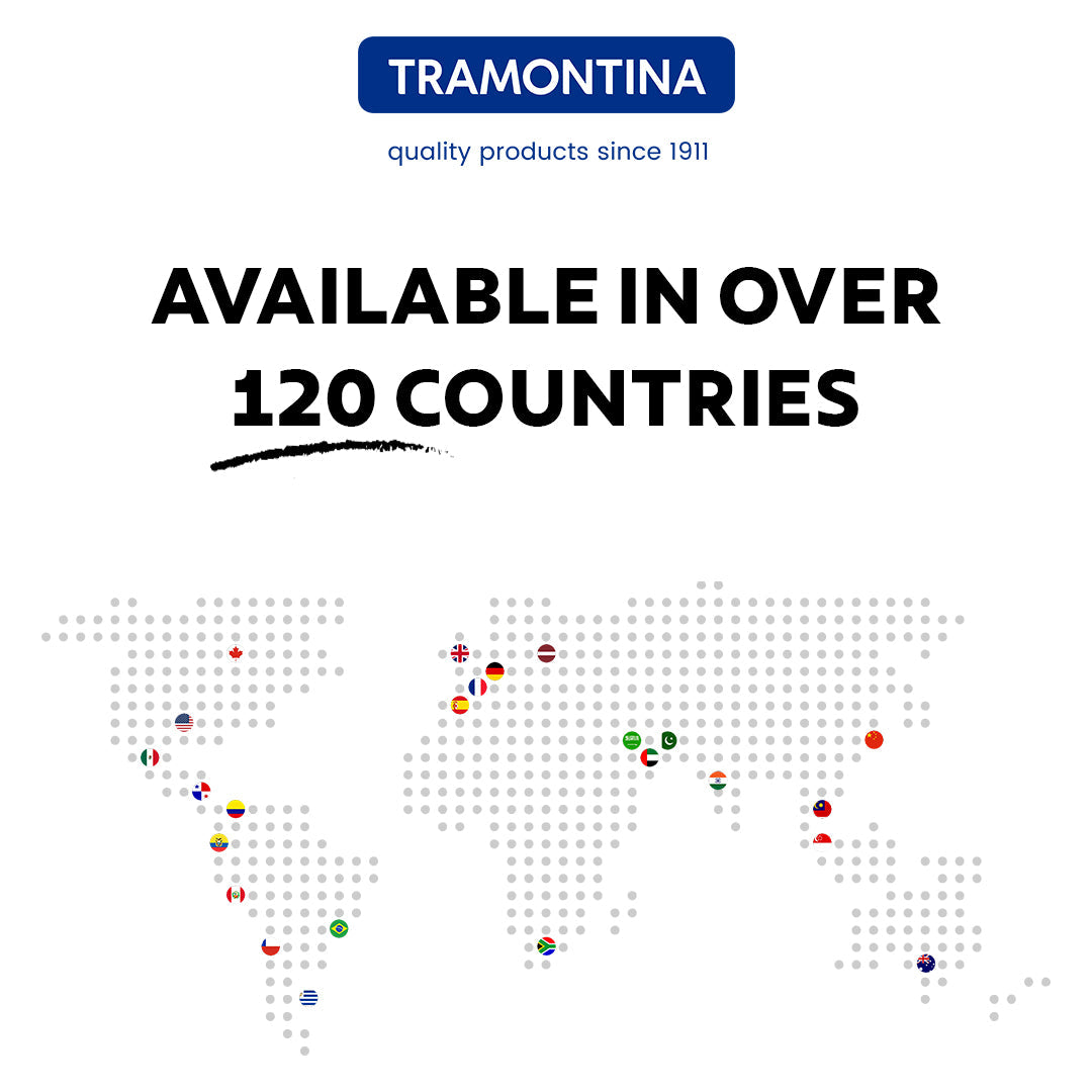 Titanex 30cm Pre-Seasoned Cast Iron Reversible Dosa Tawa/ Grill Pan with Heat Resistant Silicone Grip