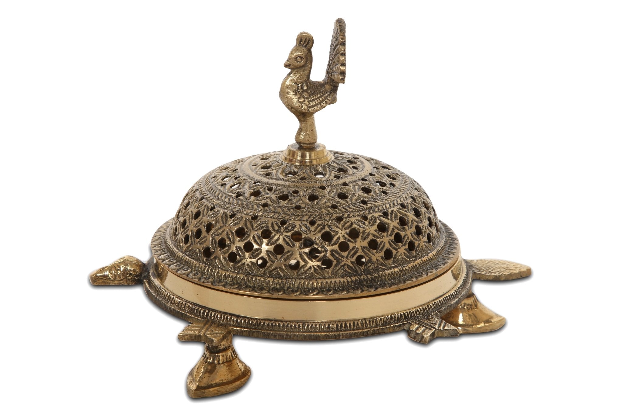 Turtle Dhupdaan