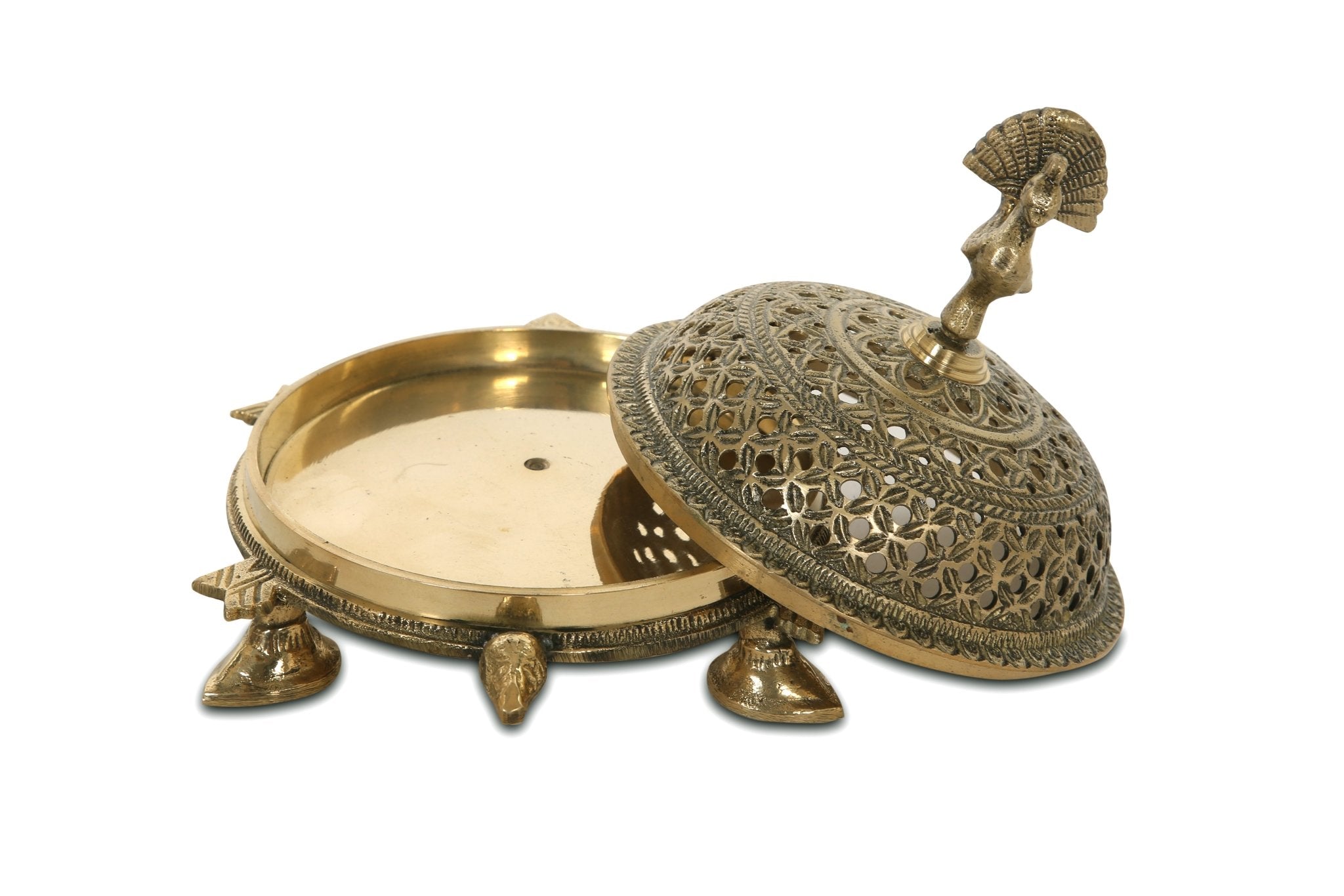 Turtle Dhupdaan