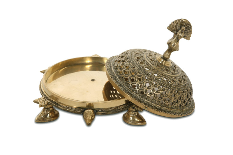 Turtle Dhupdaan