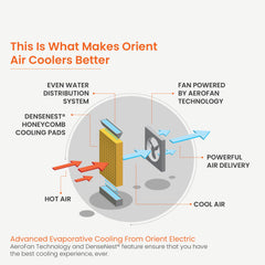 Ultimo Tower Air Cooler With Remote