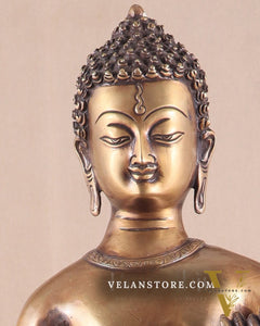 Unique Brass Standing Buddha Statue 22"
