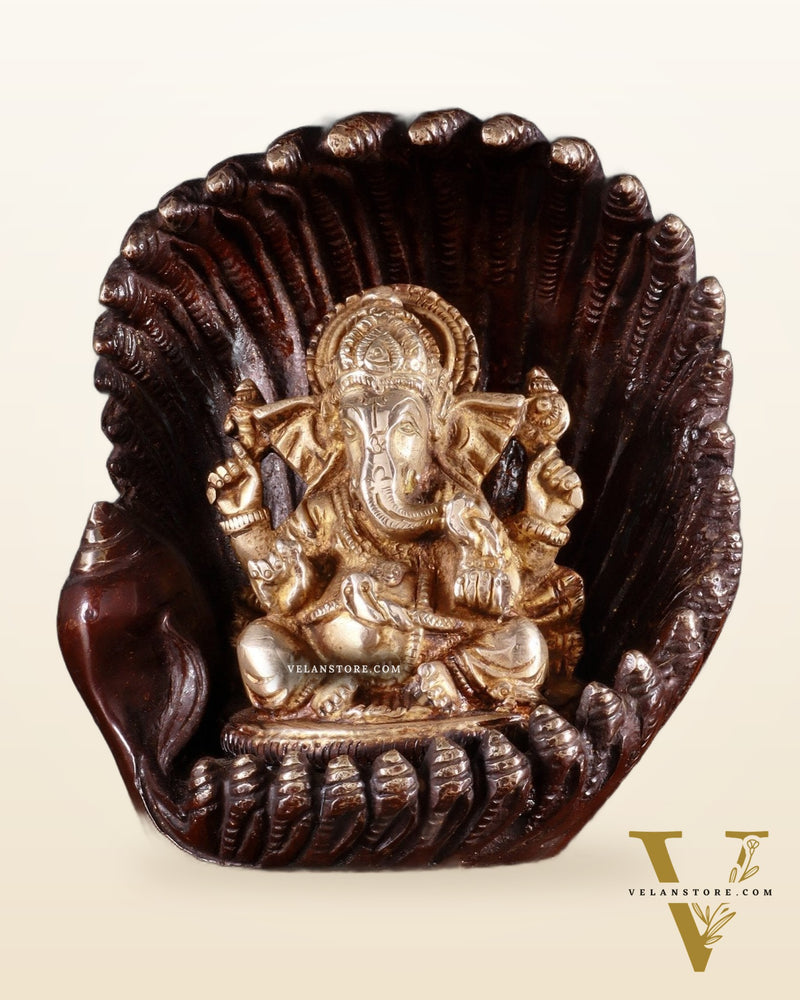 Unique Pure Brass Lord Ganesha in Pearl Conch Shell – 5.5” (14 cm)