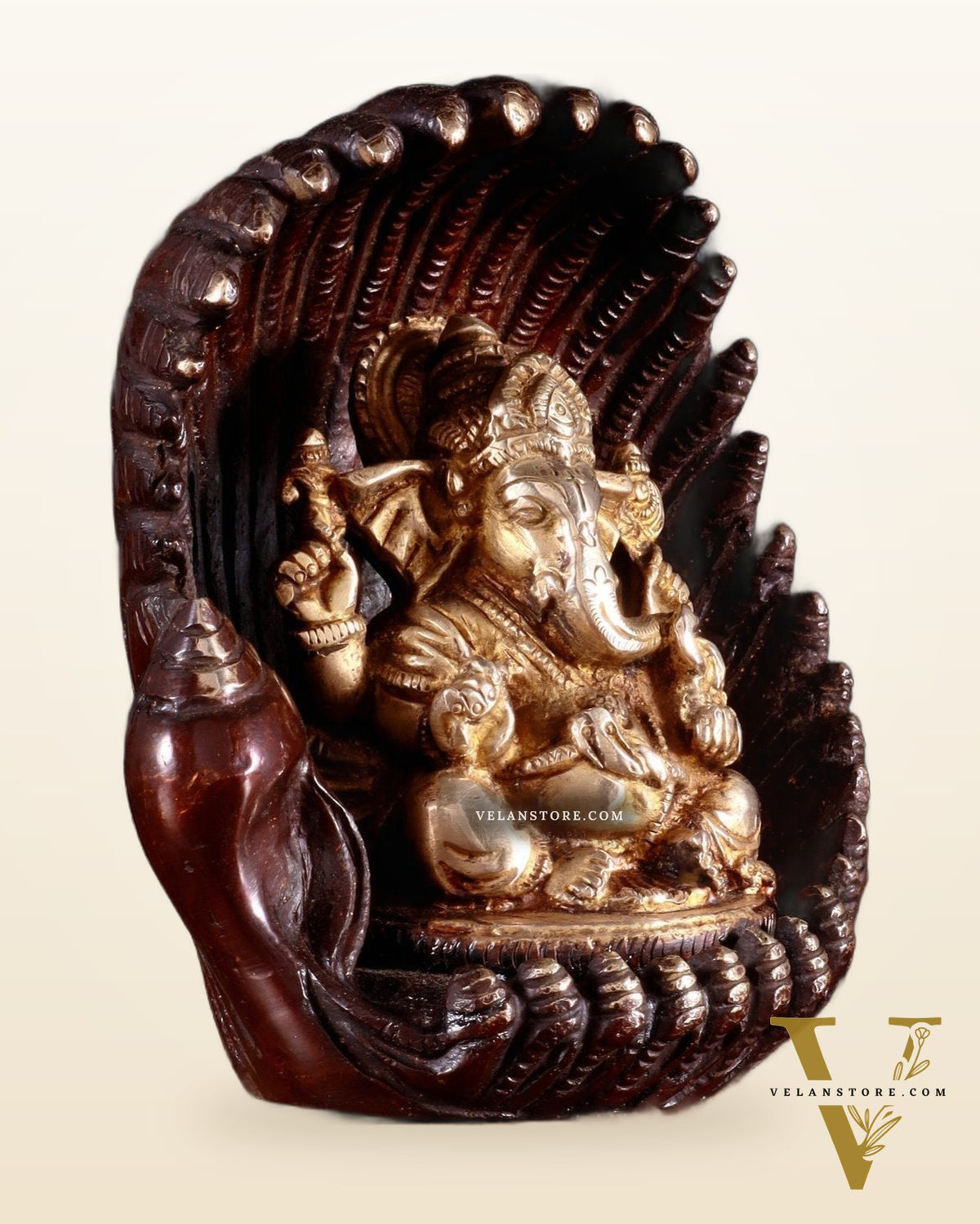 Unique Pure Brass Lord Ganesha in Pearl Conch Shell – 5.5” (14 cm)