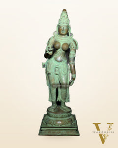 Vintage Bhoga Shakti Brass Standing Parvati Statue – Green Patina Finish (38 Inches, 30 Kg)