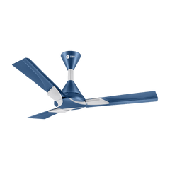 Wendy Designer Ceiling Fan with Remote