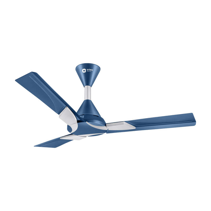 Wendy Designer Ceiling Fan with Remote