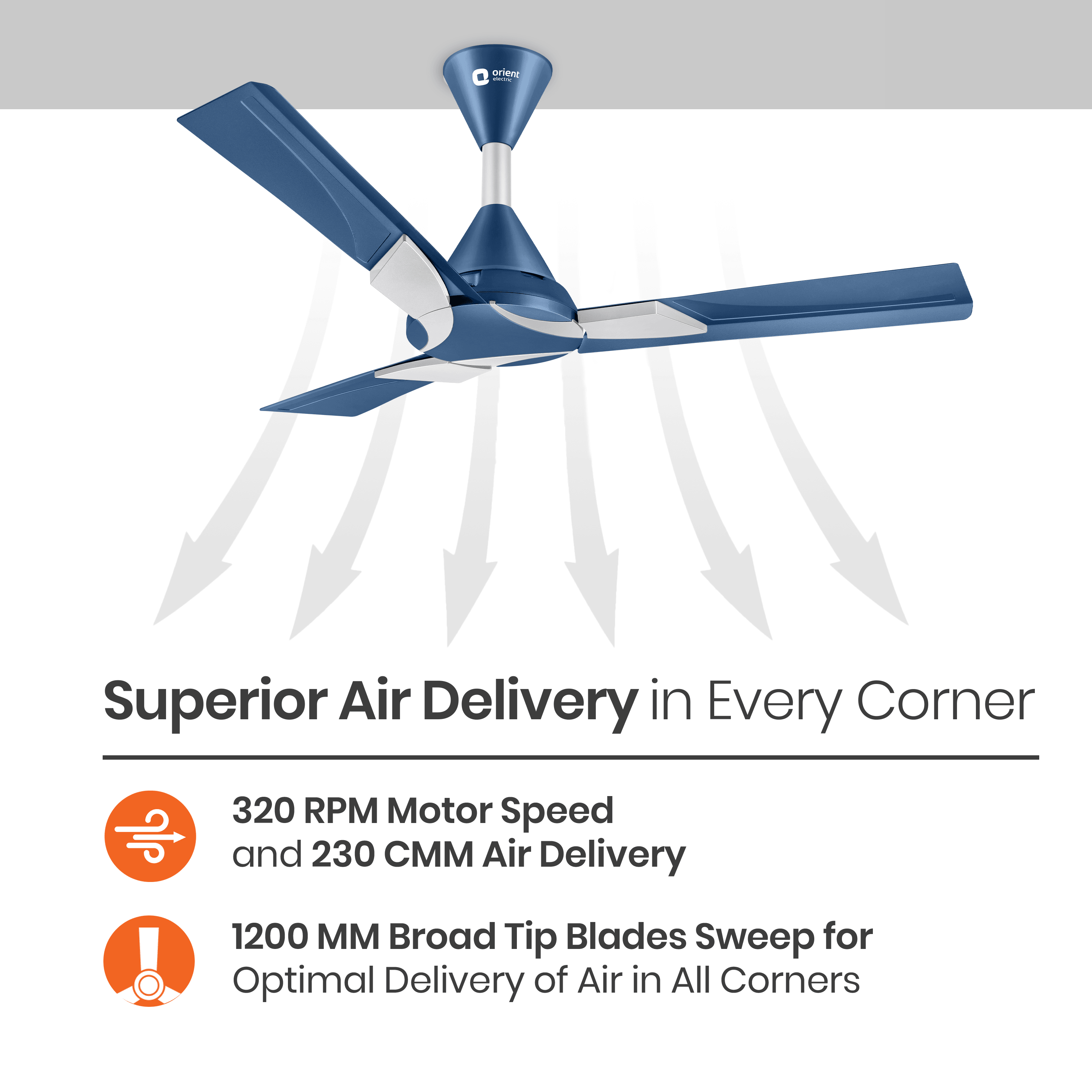 Wendy Designer Ceiling Fan with Remote
