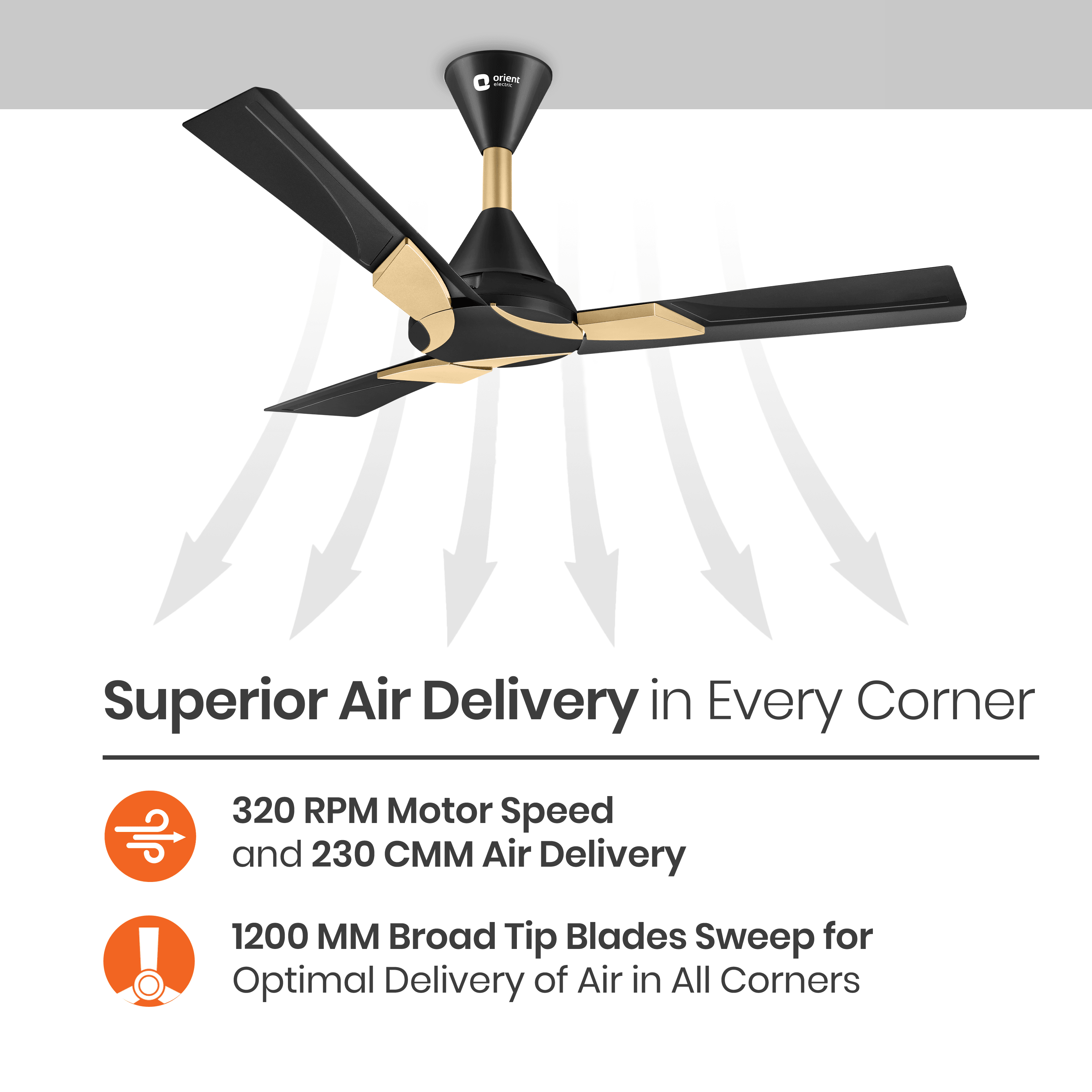 Wendy Designer Ceiling Fan with Remote
