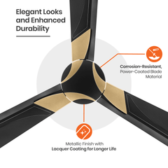 Wendy Designer Ceiling Fan with Remote