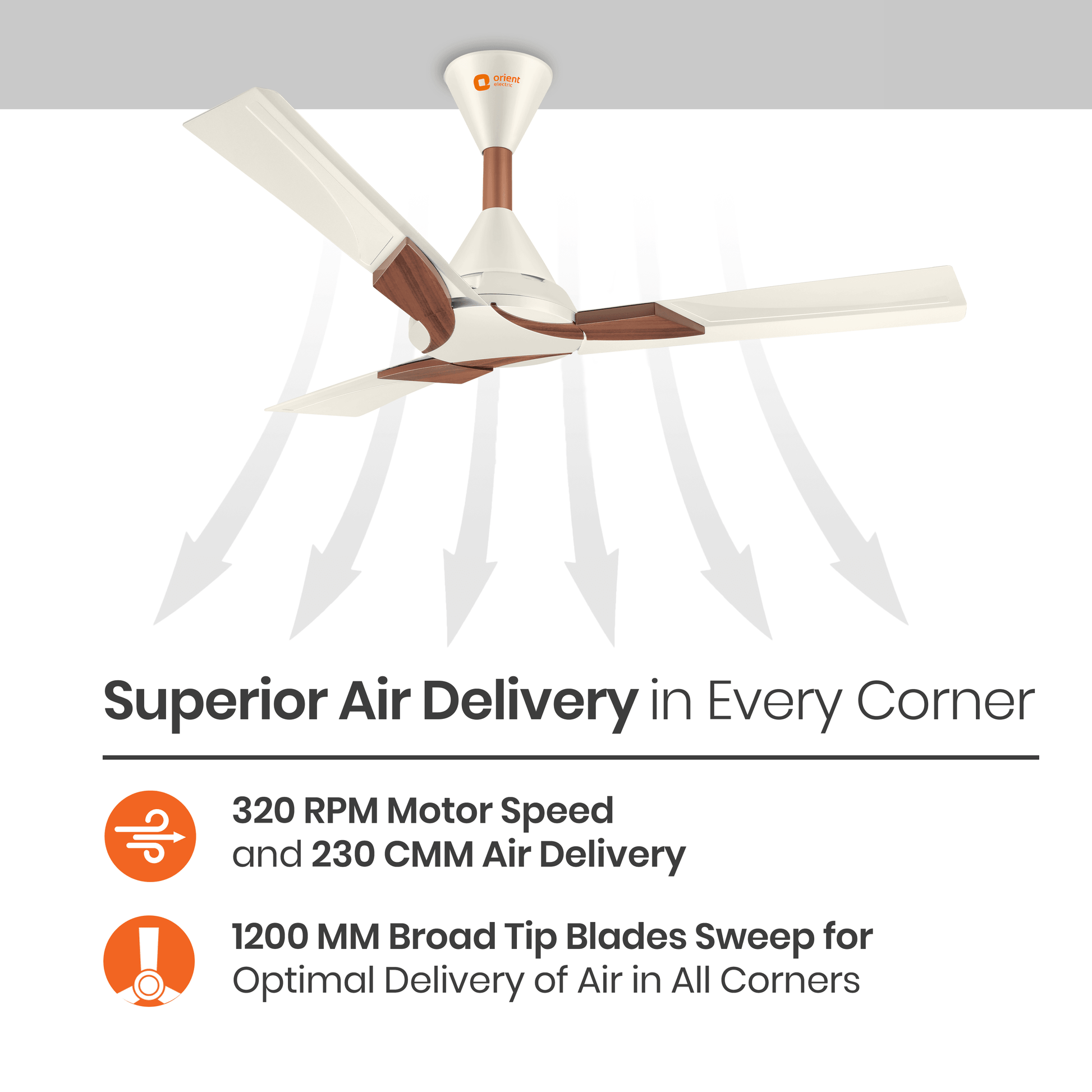 Wendy Designer Ceiling Fan with Remote