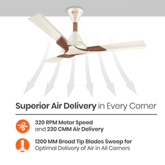 Wendy Designer Ceiling Fan with Remote