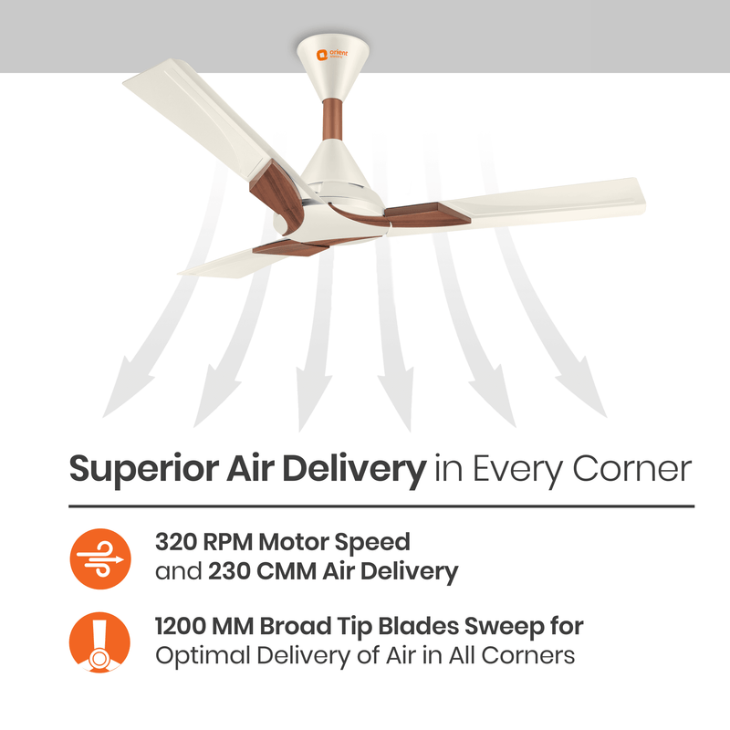 Wendy Designer Ceiling Fan with Remote