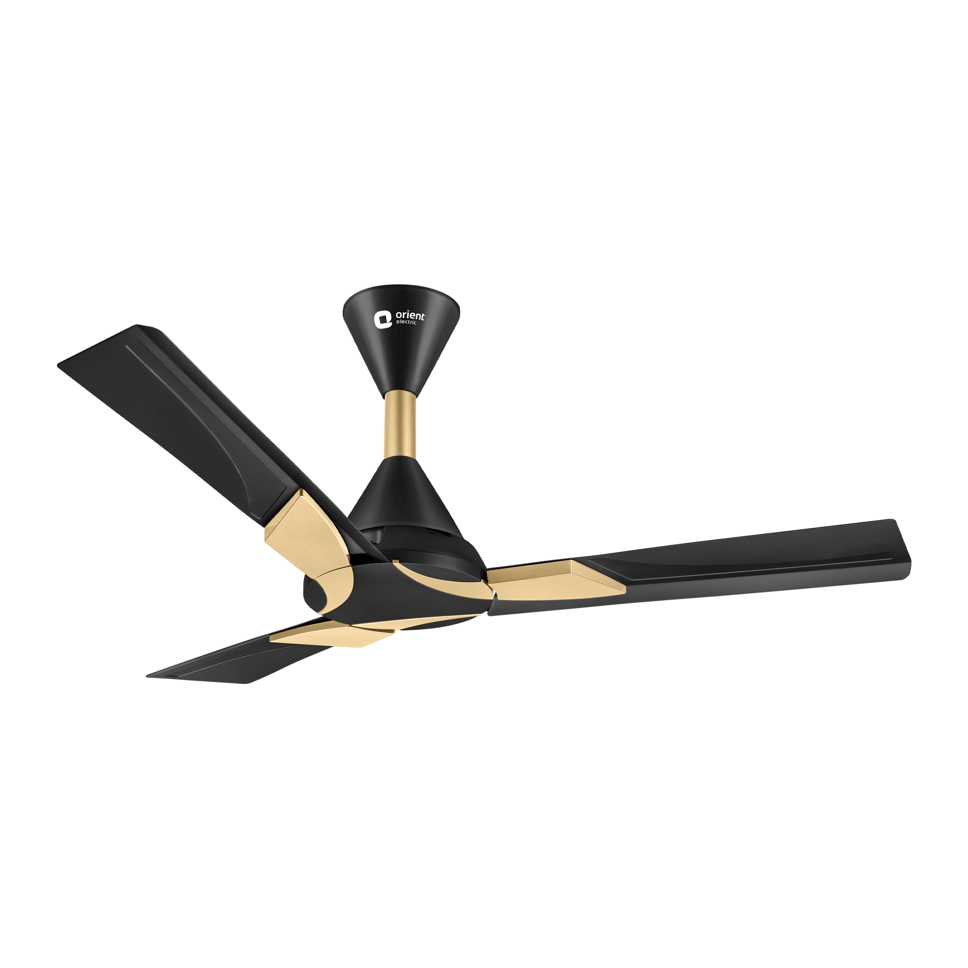 Wendy Designer Ceiling Fan with Remote
