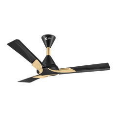 Wendy Designer Ceiling Fan with Remote