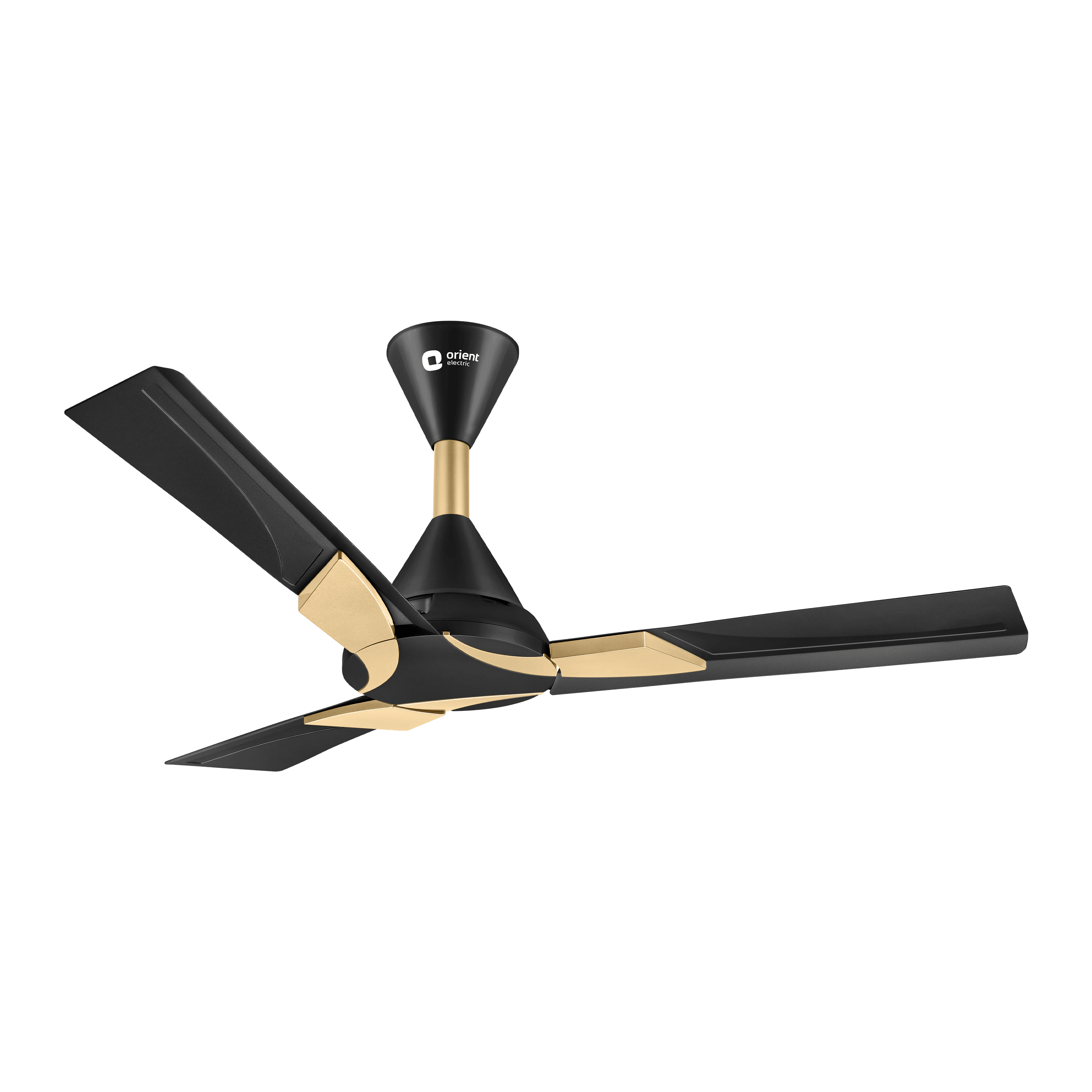Wendy Designer Ceiling Fan with Remote