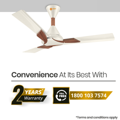 Wendy Designer Ceiling Fan with Remote