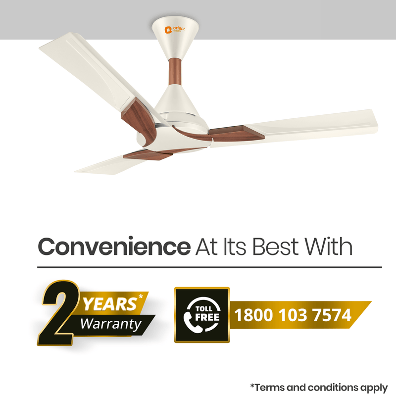 Wendy Designer Ceiling Fan with Remote