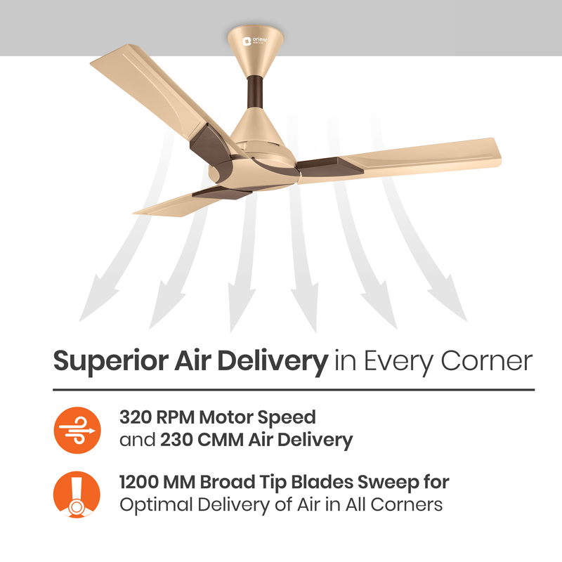 Wendy Designer Ceiling Fan with Remote