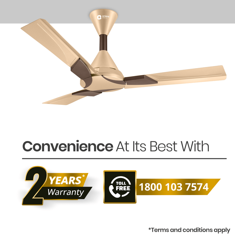 Wendy Designer Ceiling Fan with Remote