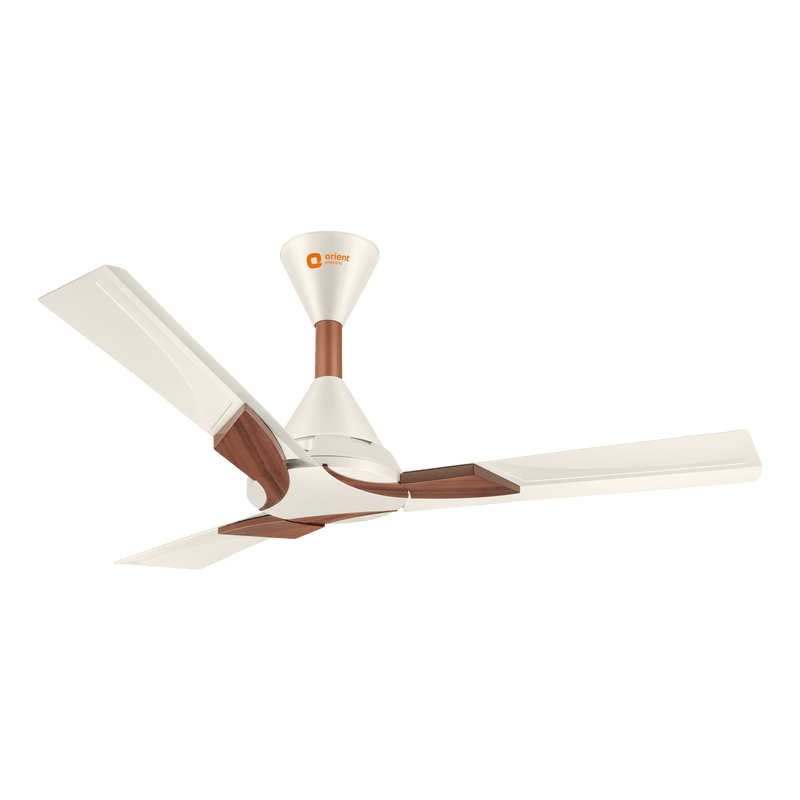 Wendy Designer Ceiling Fan with Remote
