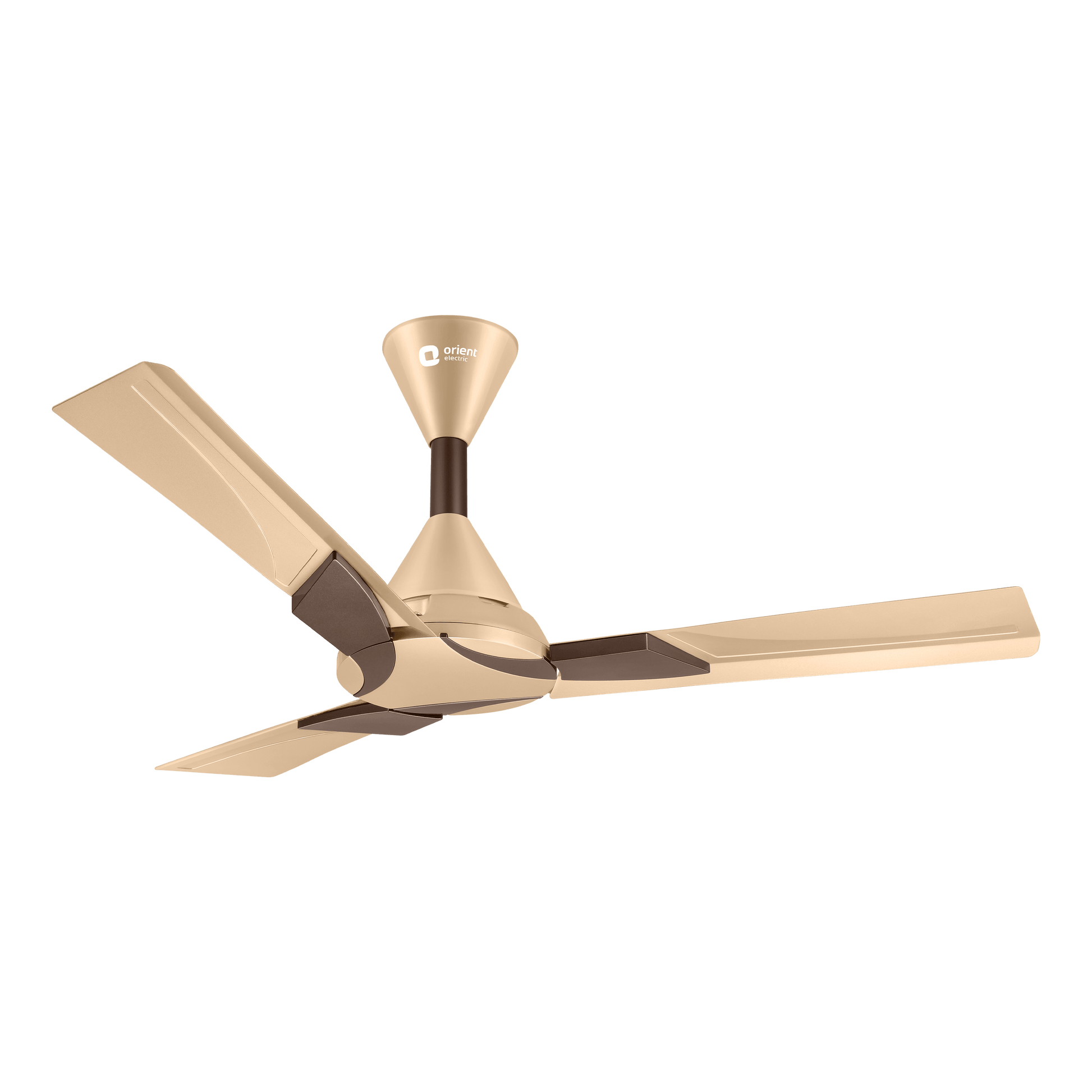 Wendy Designer Ceiling Fan with Remote