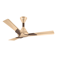 Wendy Designer Ceiling Fan with Remote