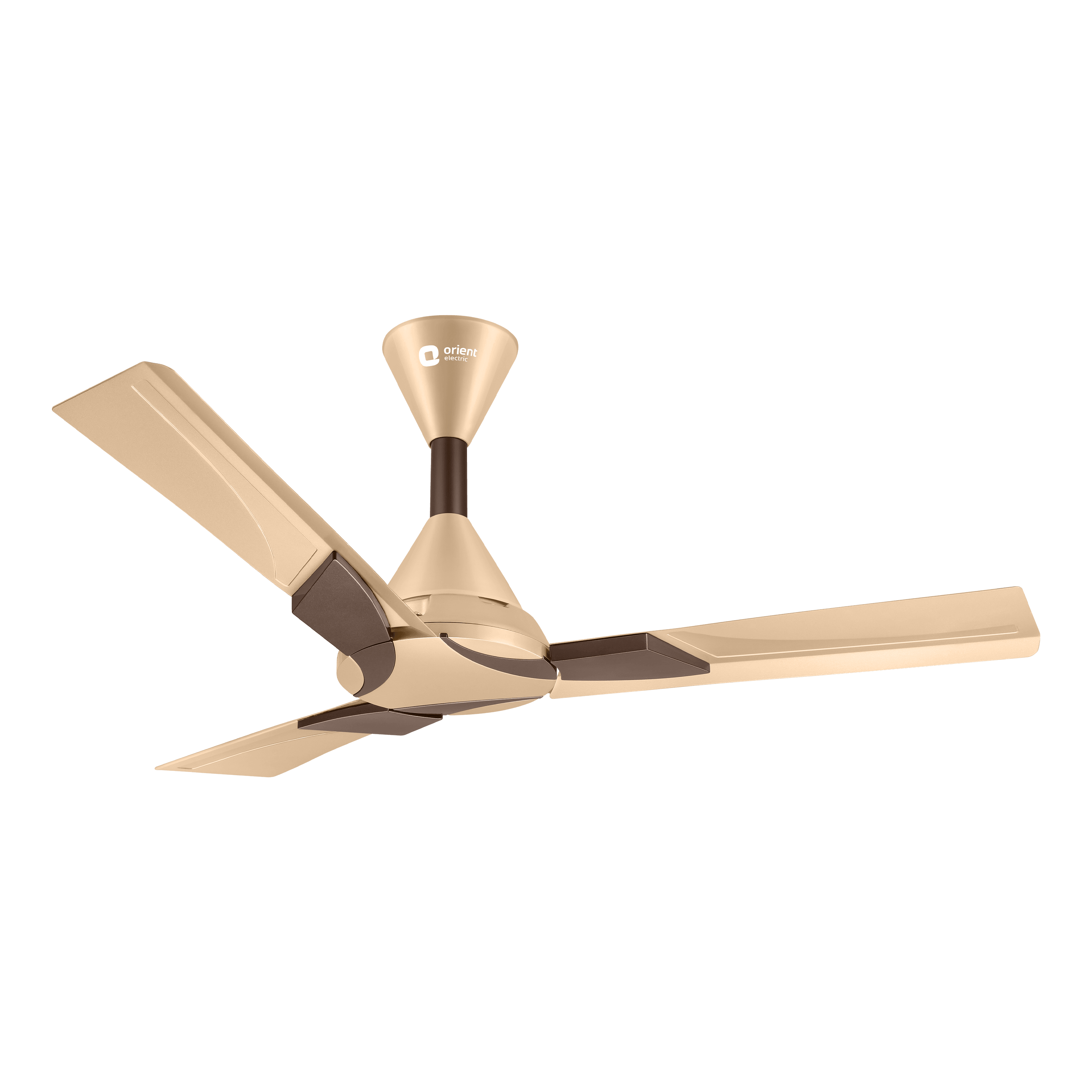 Wendy Designer Ceiling Fan with Remote