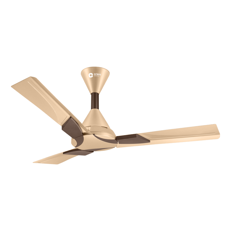 Wendy Designer Ceiling Fan with Remote