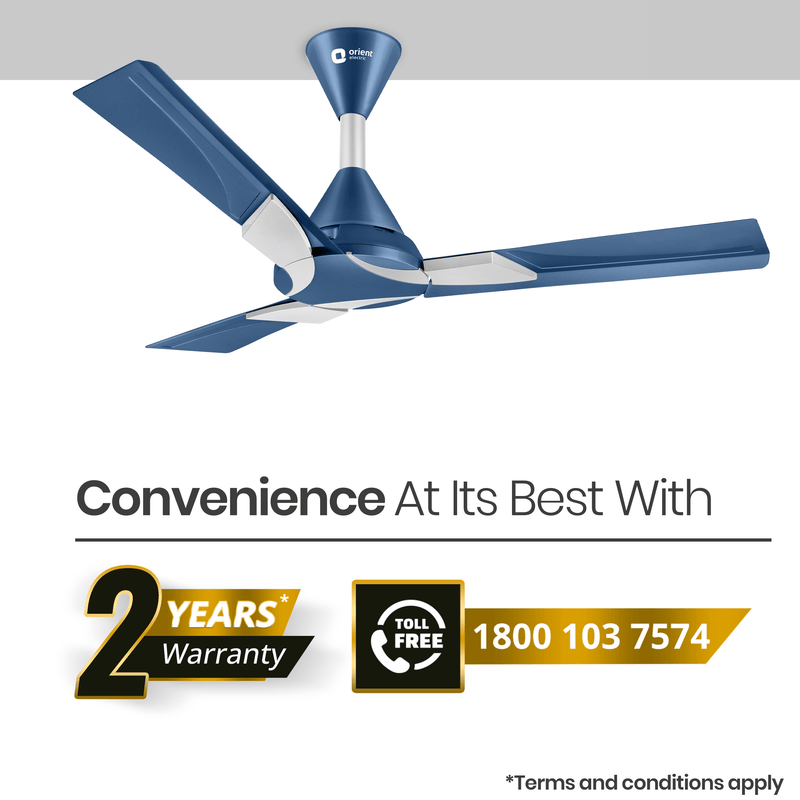 Wendy Designer Ceiling Fan with Remote