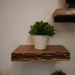 Live edge Floating Shelf Set of 4