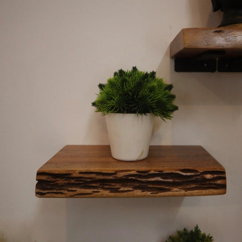 Live edge Floating Shelf Set of 4