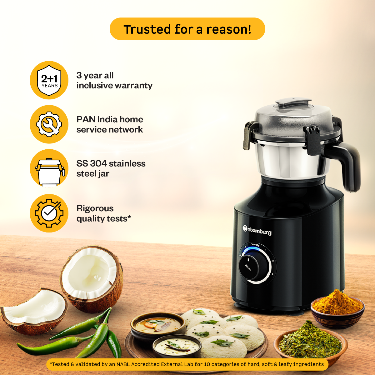 Zenova Mixer Grinder