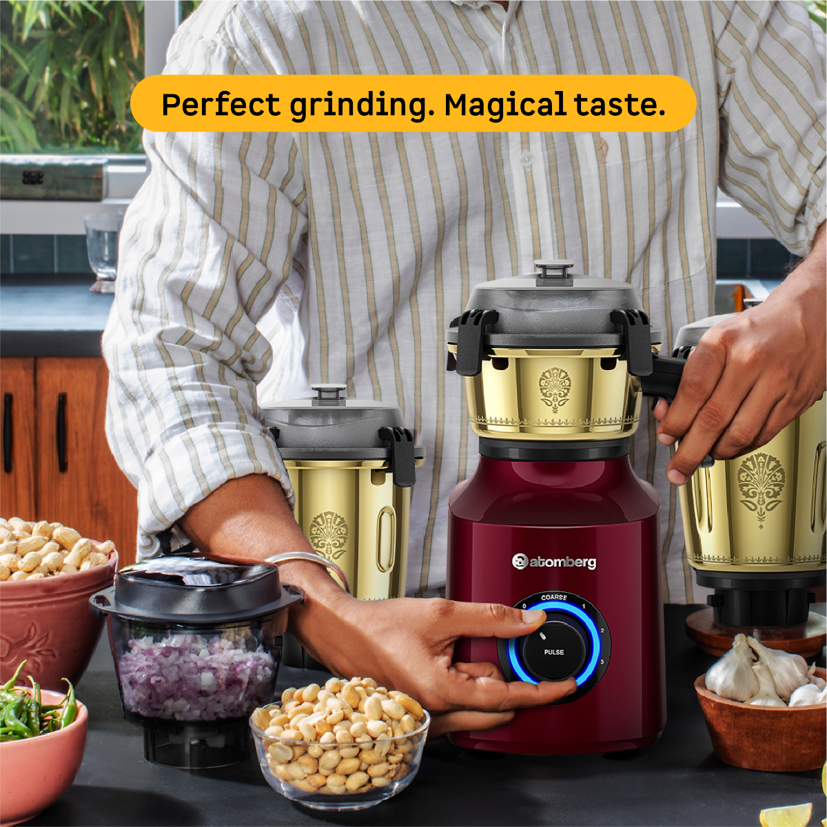 Zenova Mixer Grinder