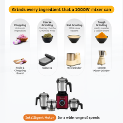 Zenova Mixer Grinder