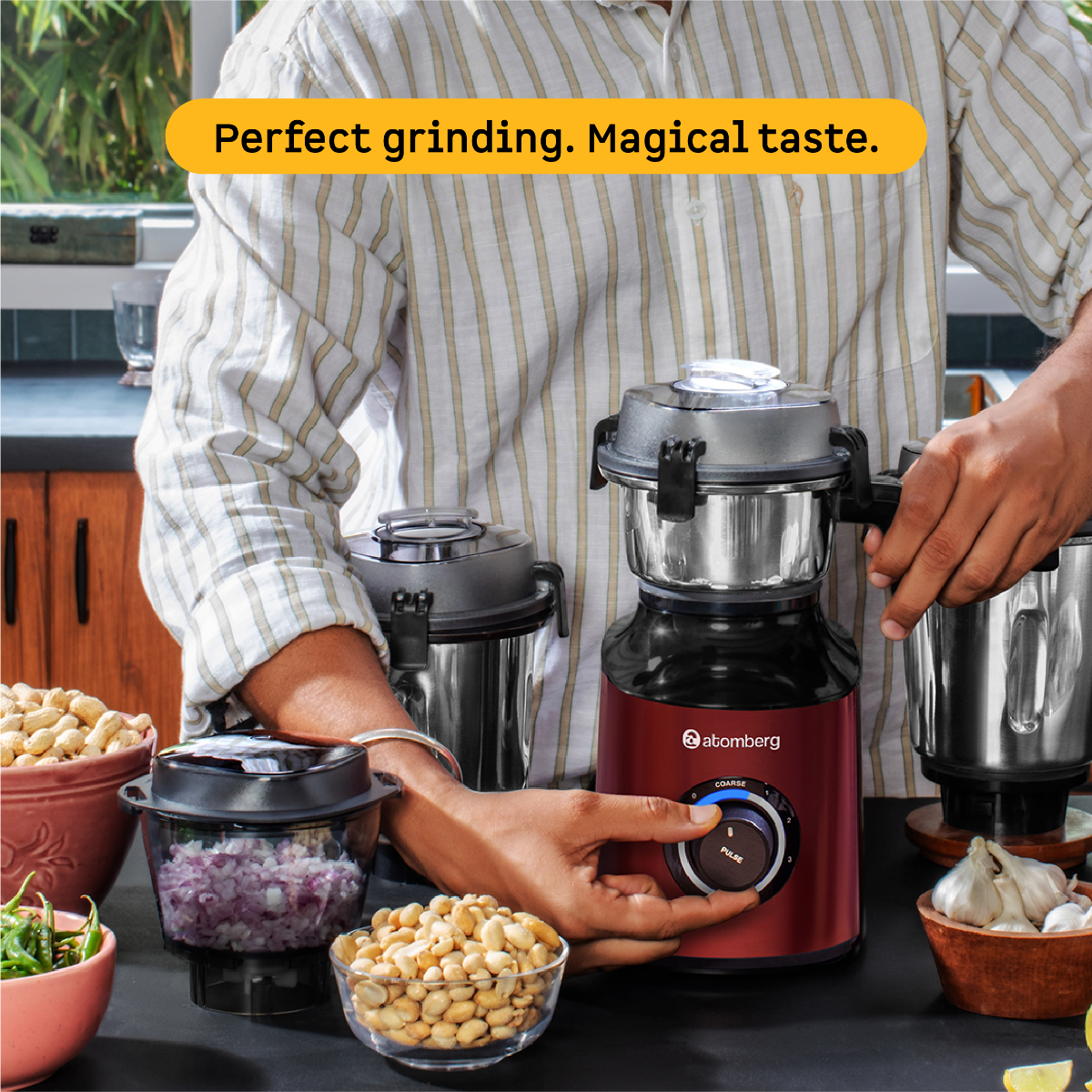 Zenova Mixer Grinder
