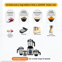 Zenova Mixer Grinder