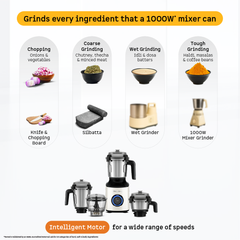 Zenova Mixer Grinder