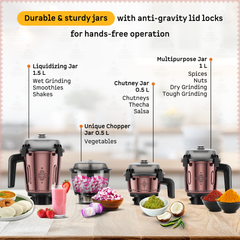 Zenova Mixer Grinder